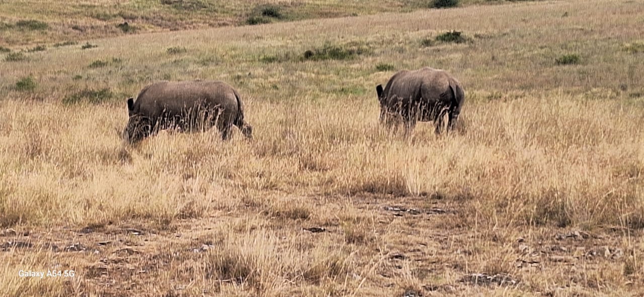 Kenya-31
