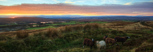 Gathered In - Ireland 2019